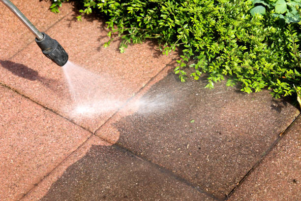 Best Best Pressure Washing Companies  in Pretty Bayou, FL